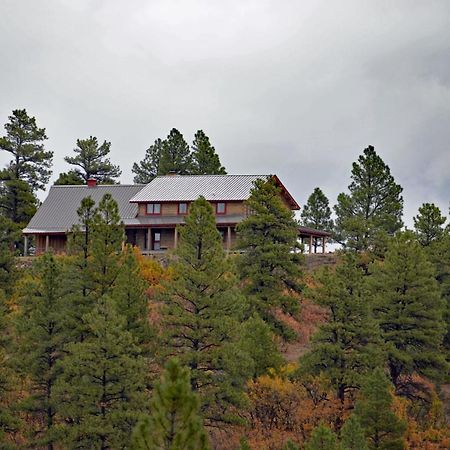 Beautiful Air-Conditioned Log Home With Great View Pagosa Springs Exterior photo